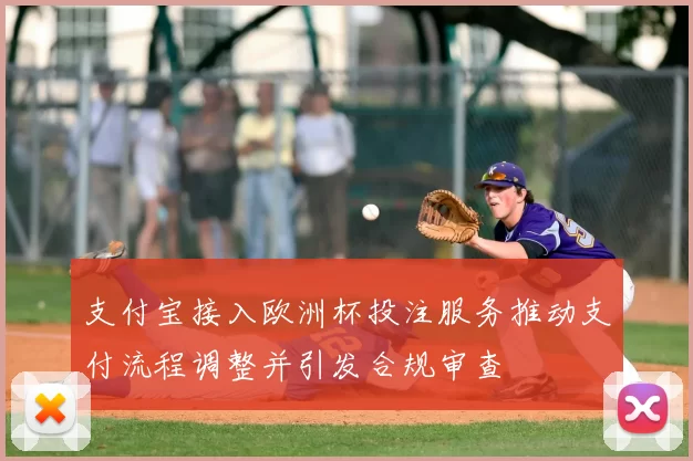 支付宝接入欧洲杯投注服务推动支付流程调整并引发合规审查