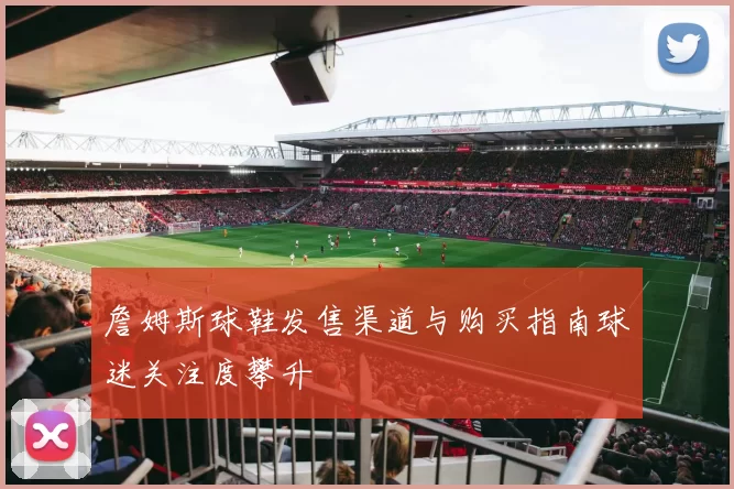 詹姆斯球鞋发售渠道与购买指南球迷关注度攀升